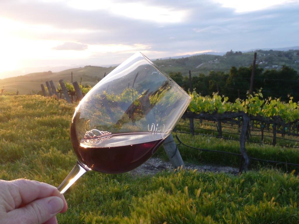 The Eden House Vineyard Hotell Templeton Eksteriør bilde