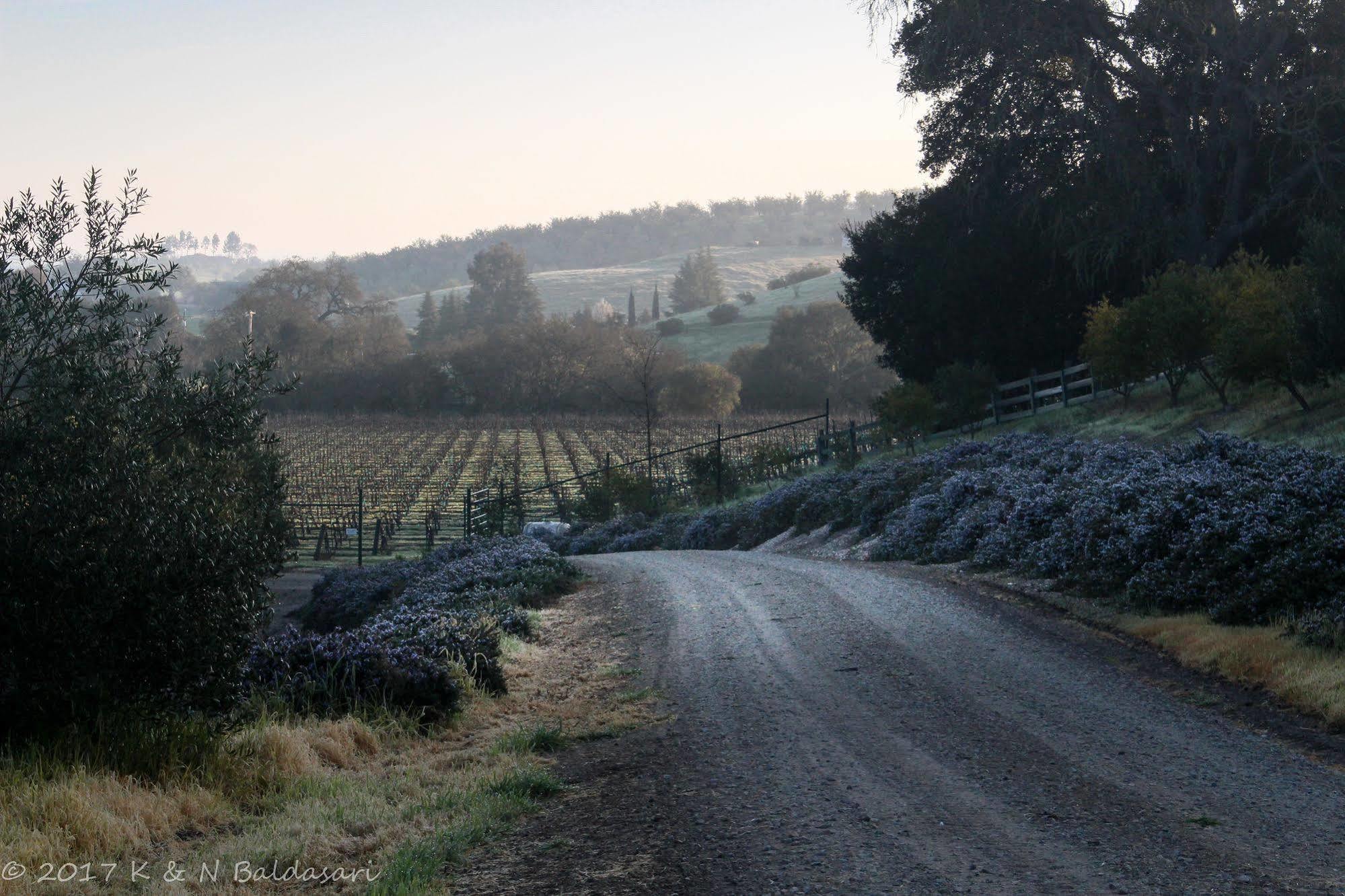 The Eden House Vineyard Hotell Templeton Eksteriør bilde